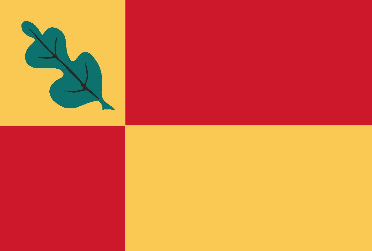 Dorspvlag